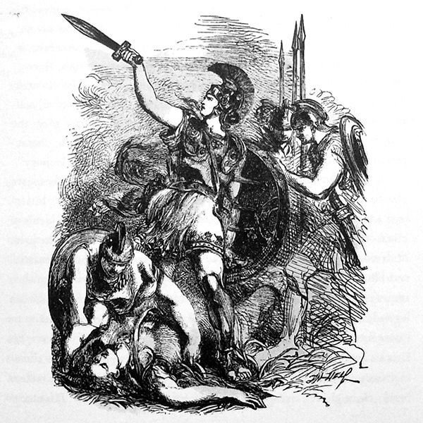 A Shakespeare Handbook: an Essential Guide to all the Plays by Peter Whitfield