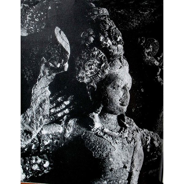 Hinduism: A Thought Experiment by Peter Whitfield