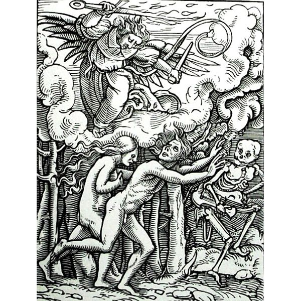 The Bible: Message and Mystery by Peter Whitfield